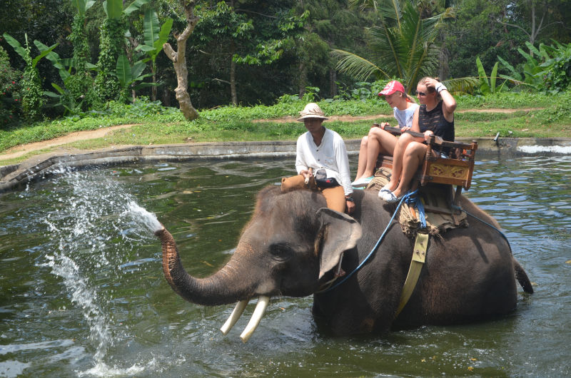 Сафари на слоне Бали