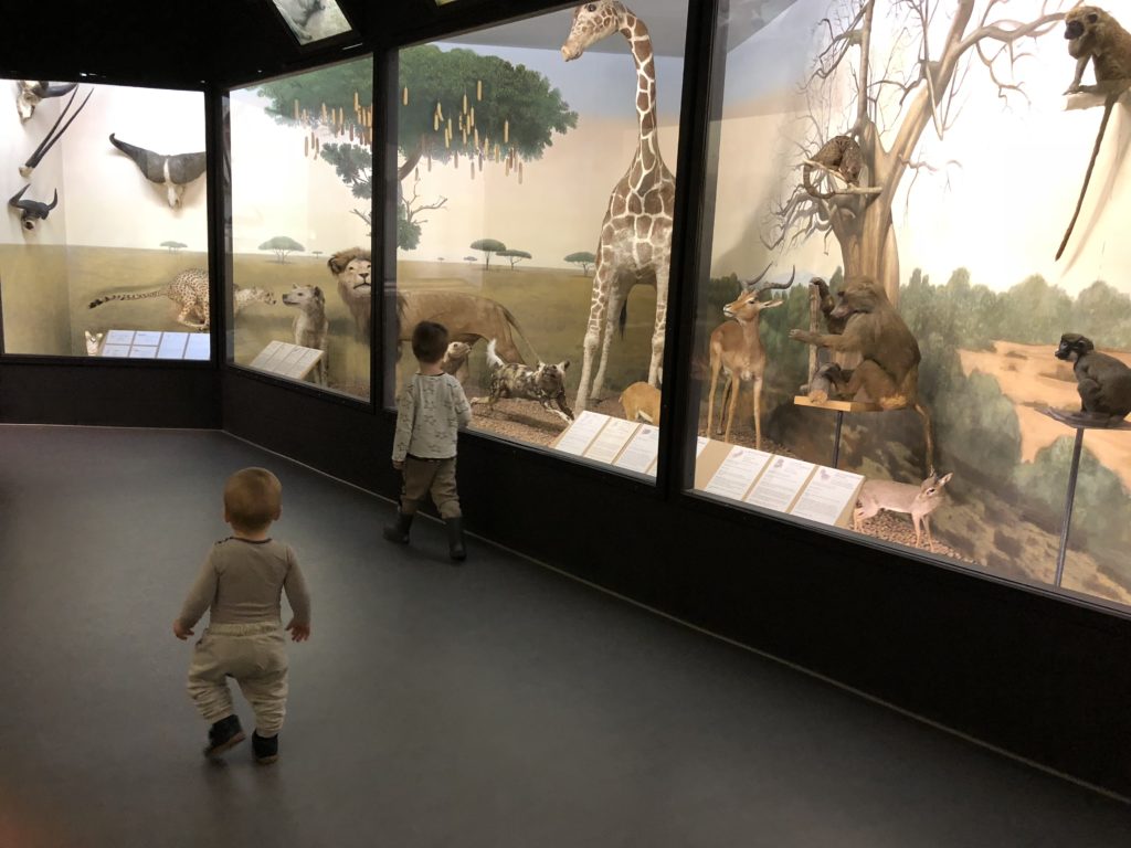 достопримечательности Риги что лучше посетить