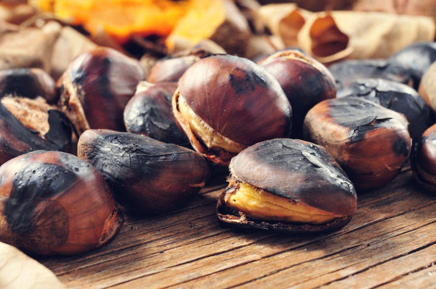 Праздник каштанов