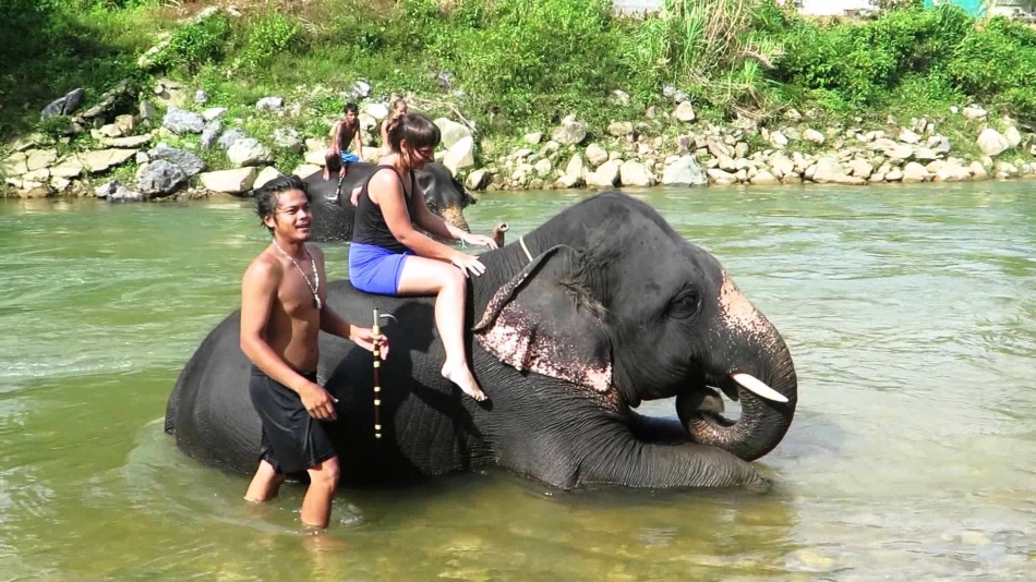 Прогулка на слонах на пхукете, таиланд