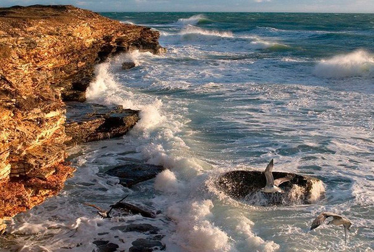 Тепло морской. Море Оленевка Крым шторм. Тарханкут шторм осенью. Черное море вода. Евпатория Крым природа.