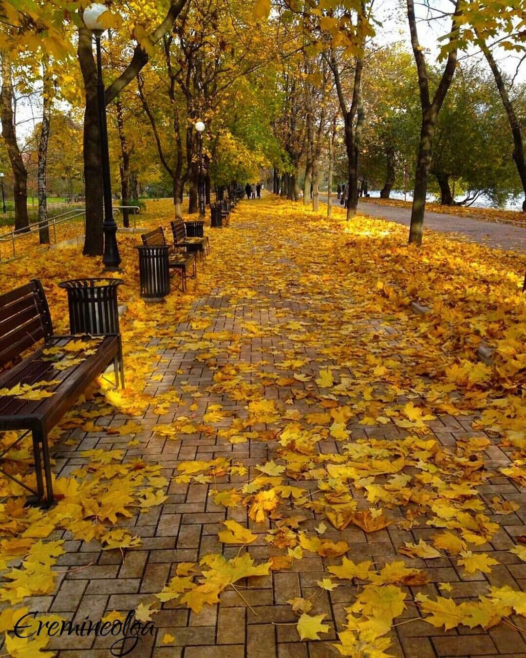 осень в парку в москве