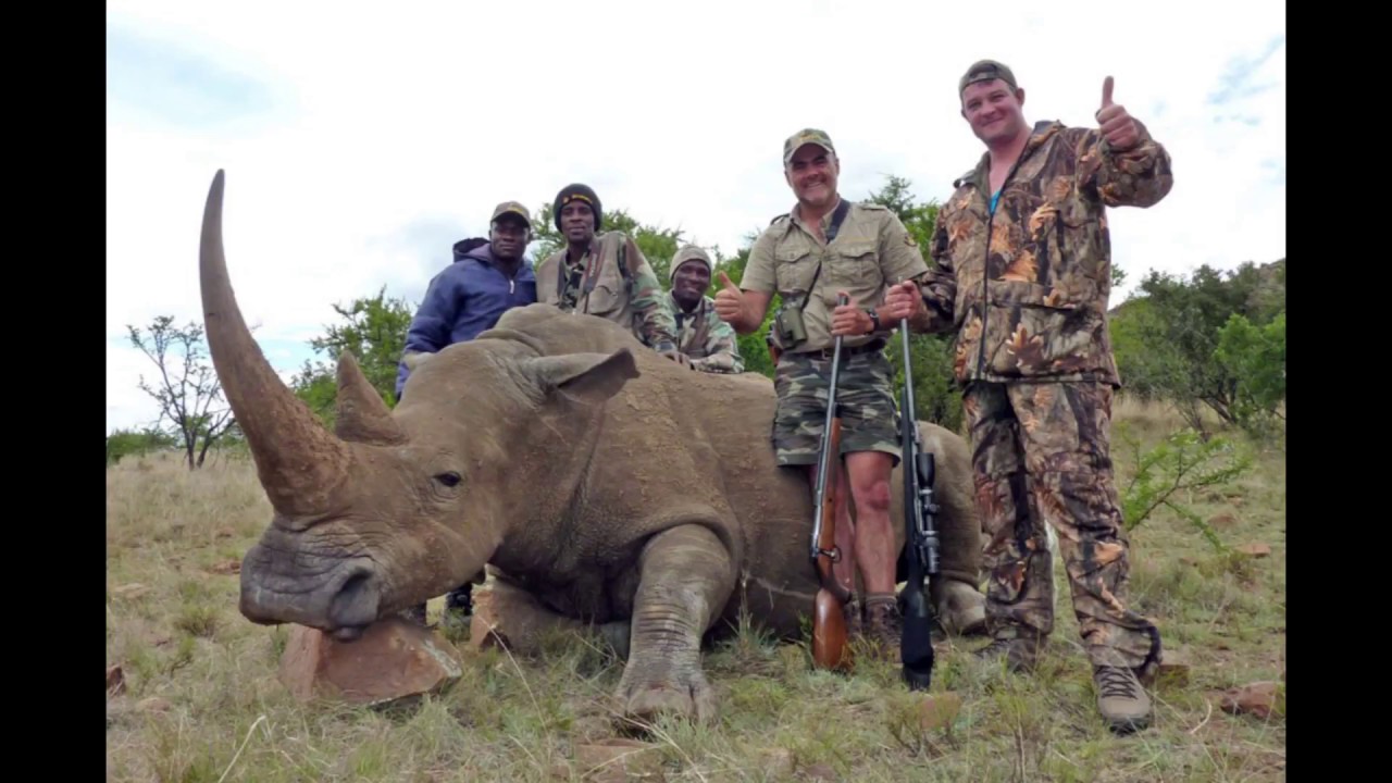 Охота на зверей 1. Охота сафари Африканская большая пятерка. Африка сафари охотник на Львов Носорогов.