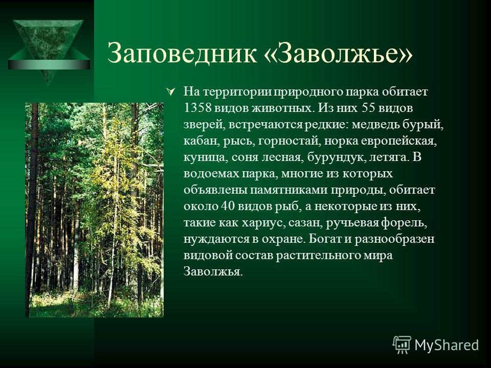 Суть заповедников. Заповедник Заволжье Чувашской Республики. Заповедники Чувашии. Заповедники Чувашии презентация. Заповедники и национальные парки в Чувашии.