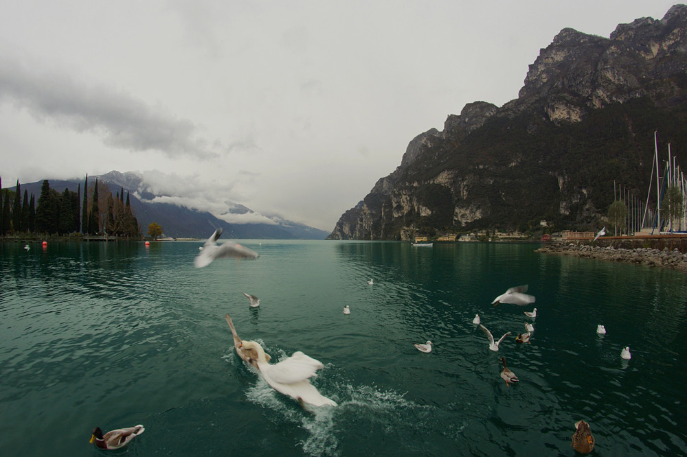 Альпы, Италия, Озеро Гарда, Рива дель Гарда, Garda, Riva del Garda (2)