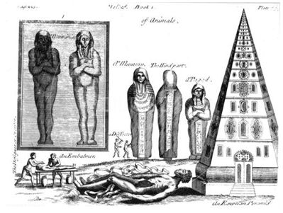 Mummies and Embalming, from an English translation of -A Compleat History of Drugs- (1725, by Pierre Pomet, physician to Louis XIV).jpg