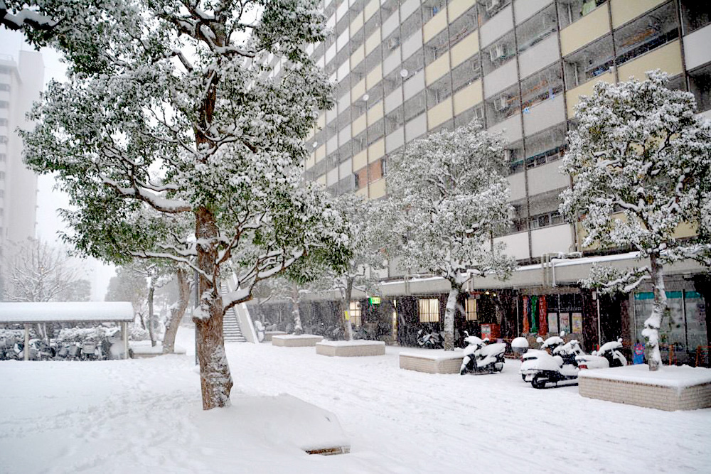 Снегопад в Токио тоже приравнивается к стихийному бедствию