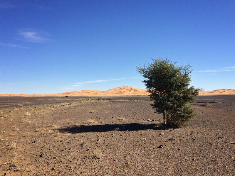 2016-Mor-08-Сахара (44).jpg