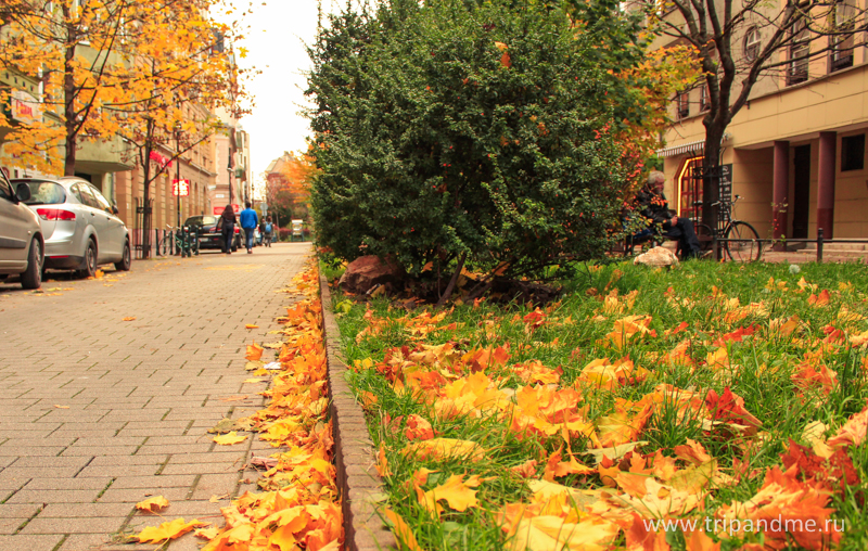 Осенний Будапешт 10.jpg