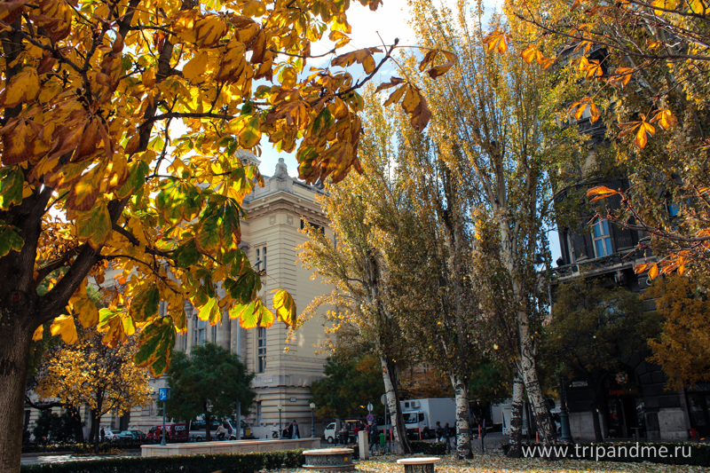 Осенний Будапешт 02.jpg
