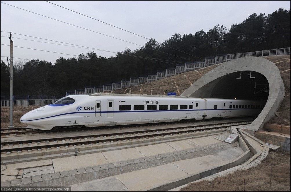 A high-speed train travels on the new Wuhan-Guangzhou railway in Wuhan