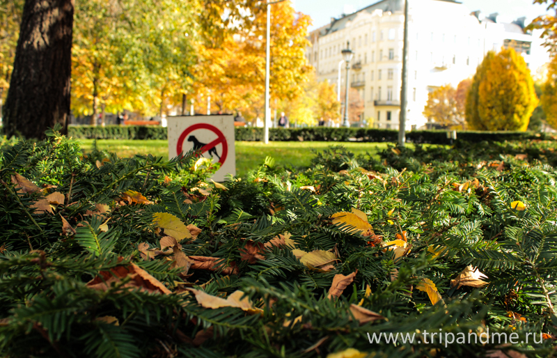 Осенний Будапешт-1.jpg