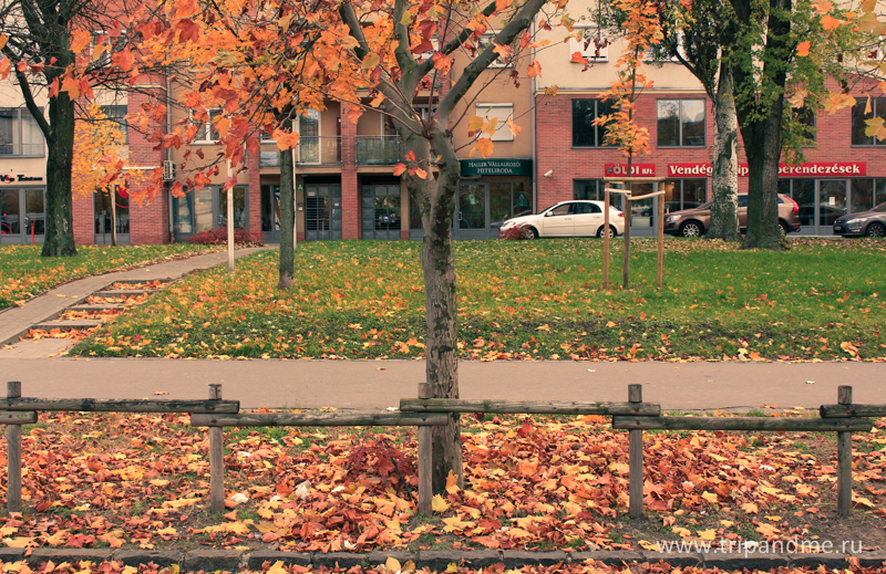 Осенний Будапешт 06.jpg