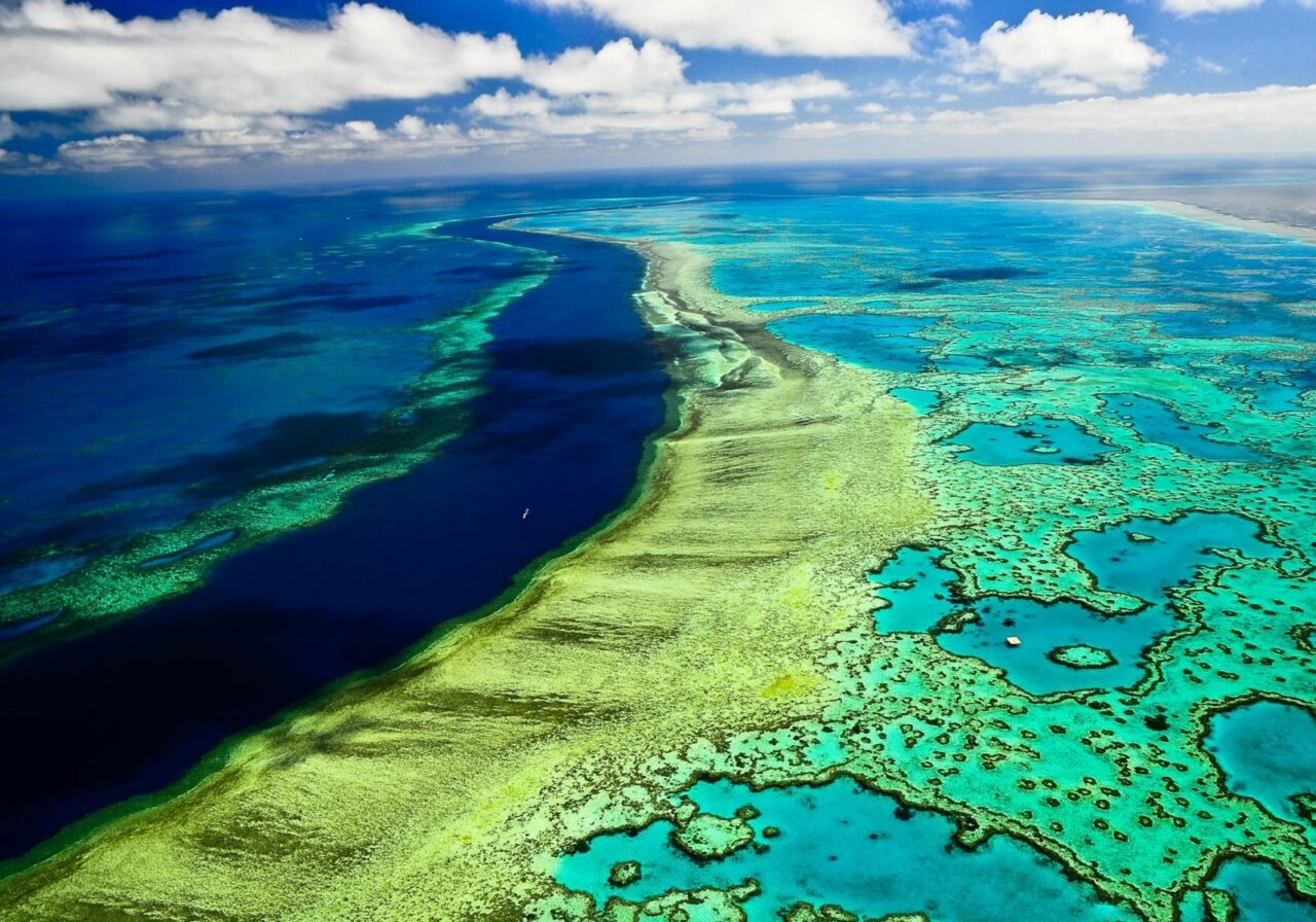 Scuba Diving, Great Barrier Reef : Cairns, Australia