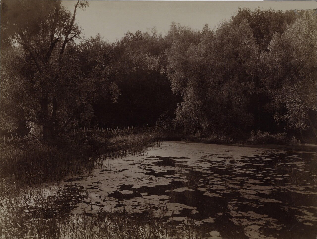 Заросший пруд.1892.