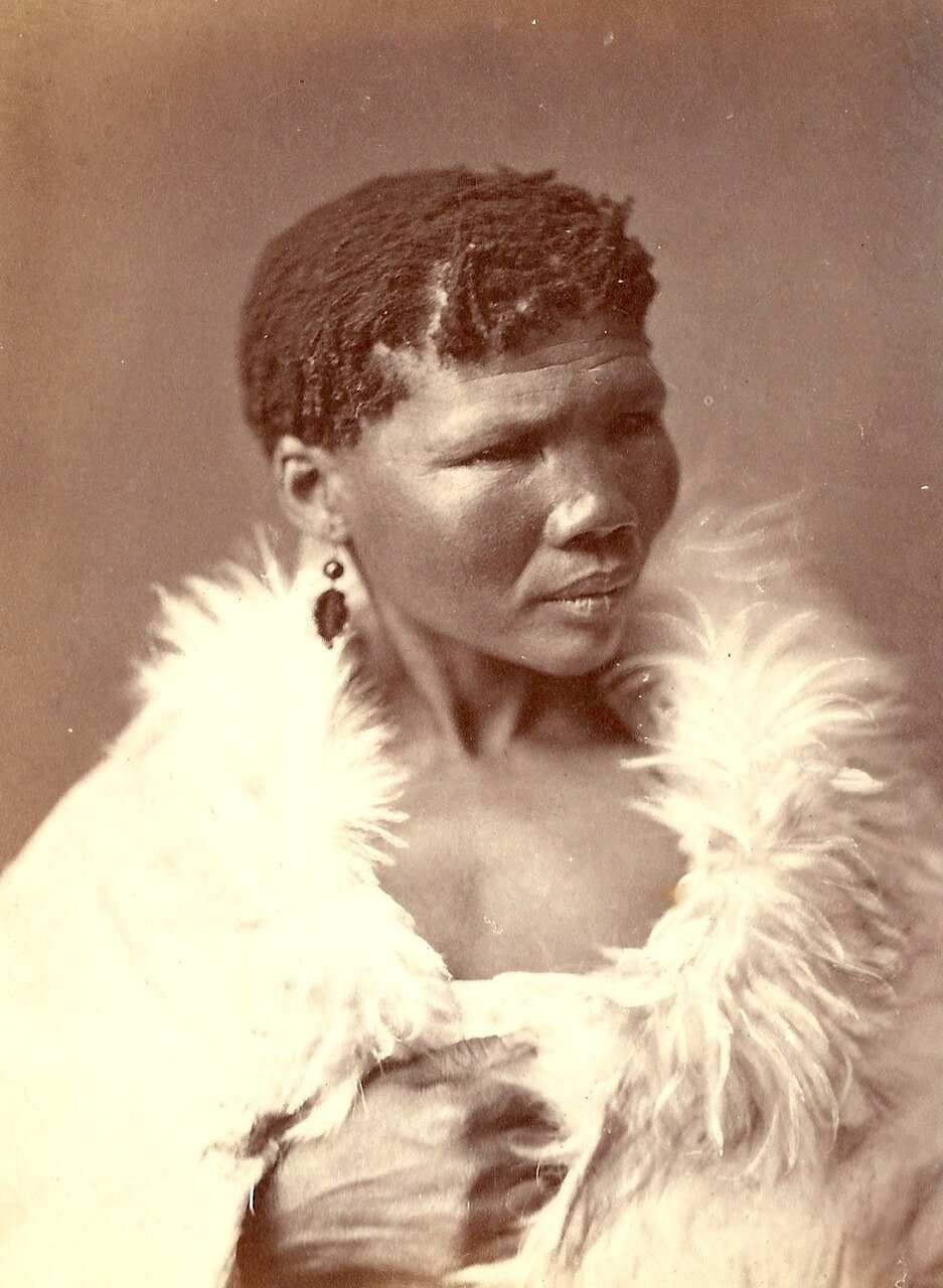 Южная Африка, 1874
