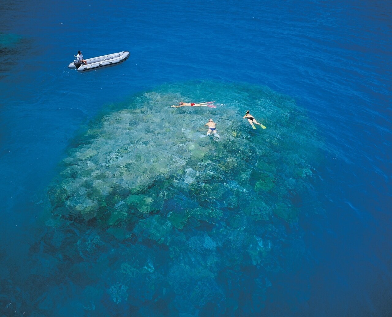 Scuba Diving, Great Barrier Reef : Cairns, Australia