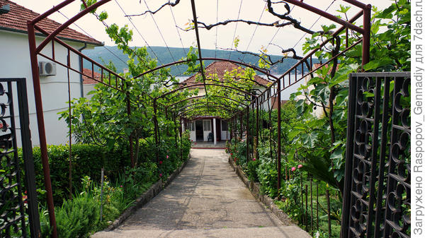 Дворики увиты лианами
