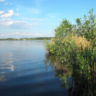 Озеро Круглое в Московской области