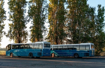 Автобусы компании Cotral