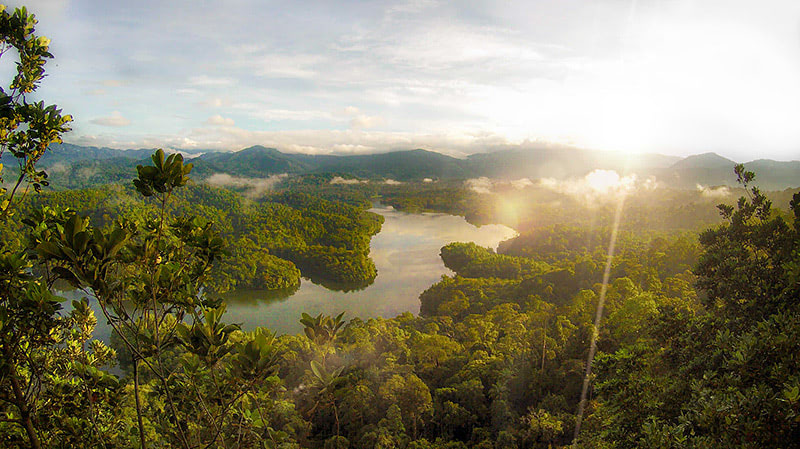 Национальный парк Таман-Негара — лучший отдых в Малайзии