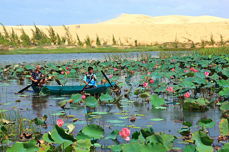 Озеро лотосов — достопримечательность Вьетнама