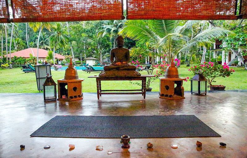 Медитация на Шри-Ланке в ноябре