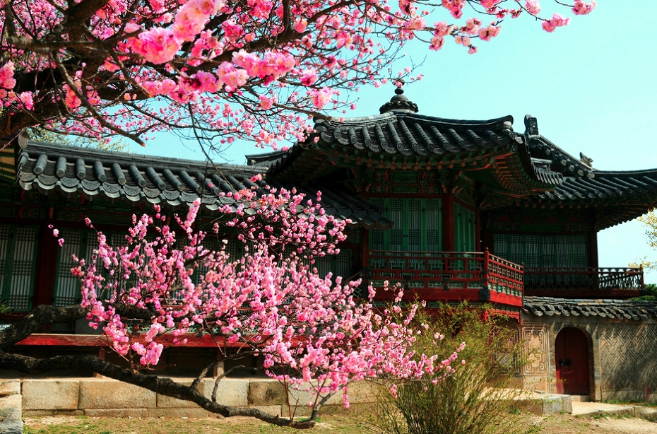 Весна в Корее