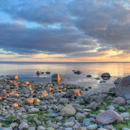 Выставка «Кронштадтские истории – 3. Замедленность»