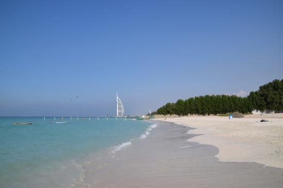 al-sufouh-beach