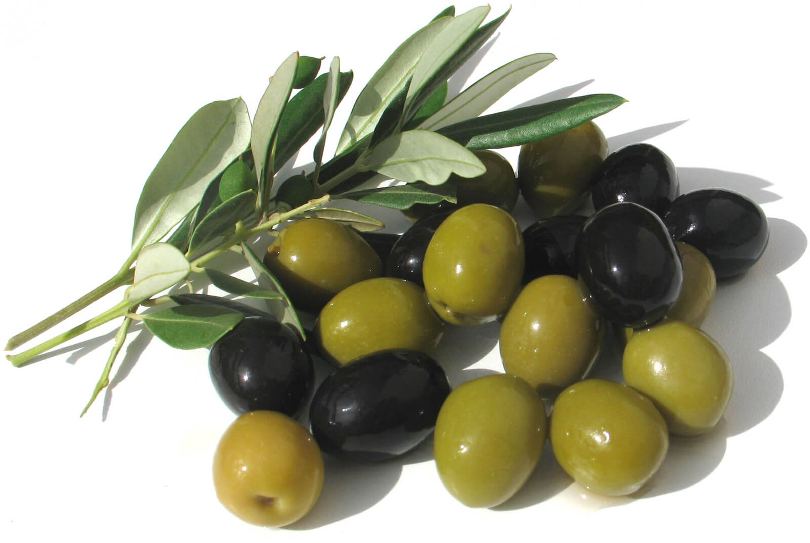 Оливки разной стадии зрелости - зеленые и черные