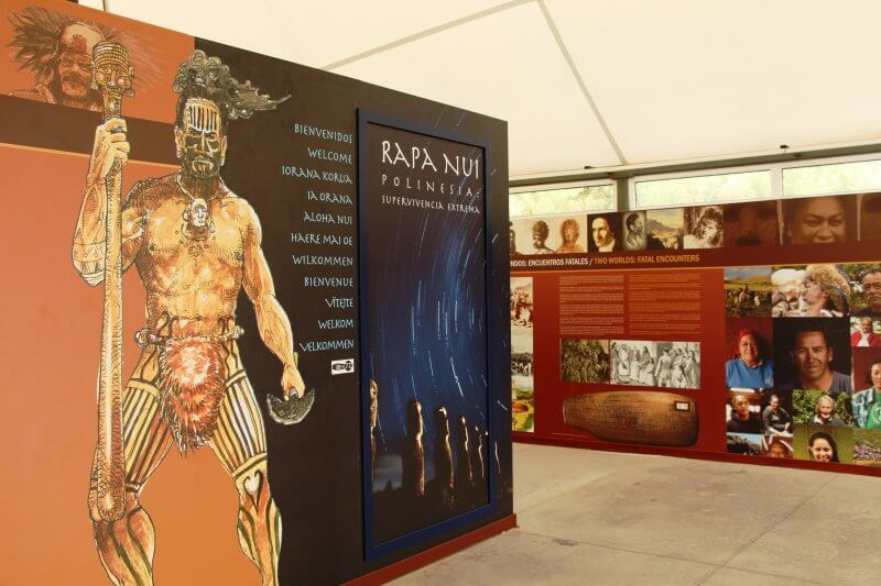 Экспозиция «Колонизация Полинезии. Рапа-Нуи: экстремальное выживание»