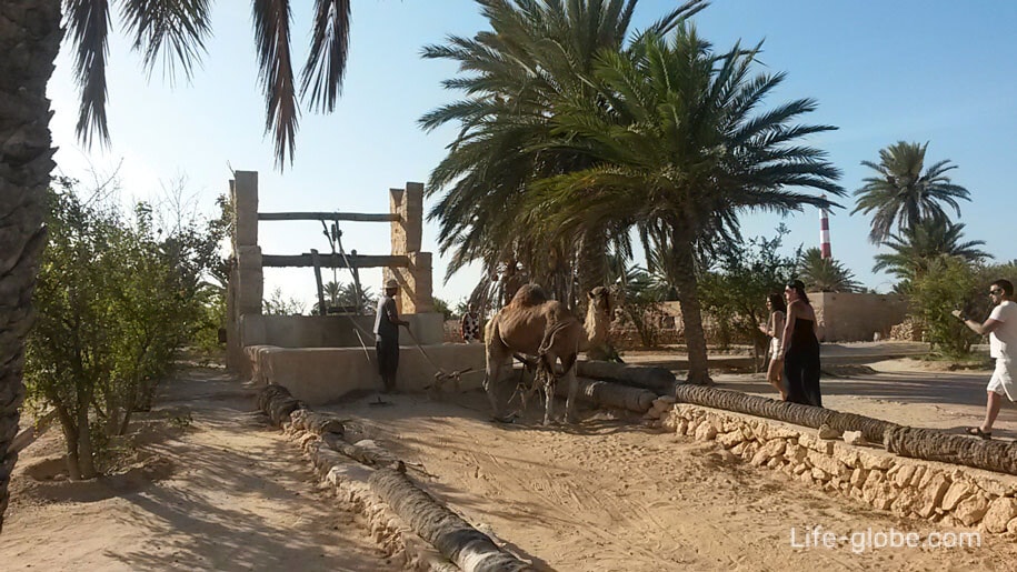 Достопримечательности острова Джерба - тунисская деревня
