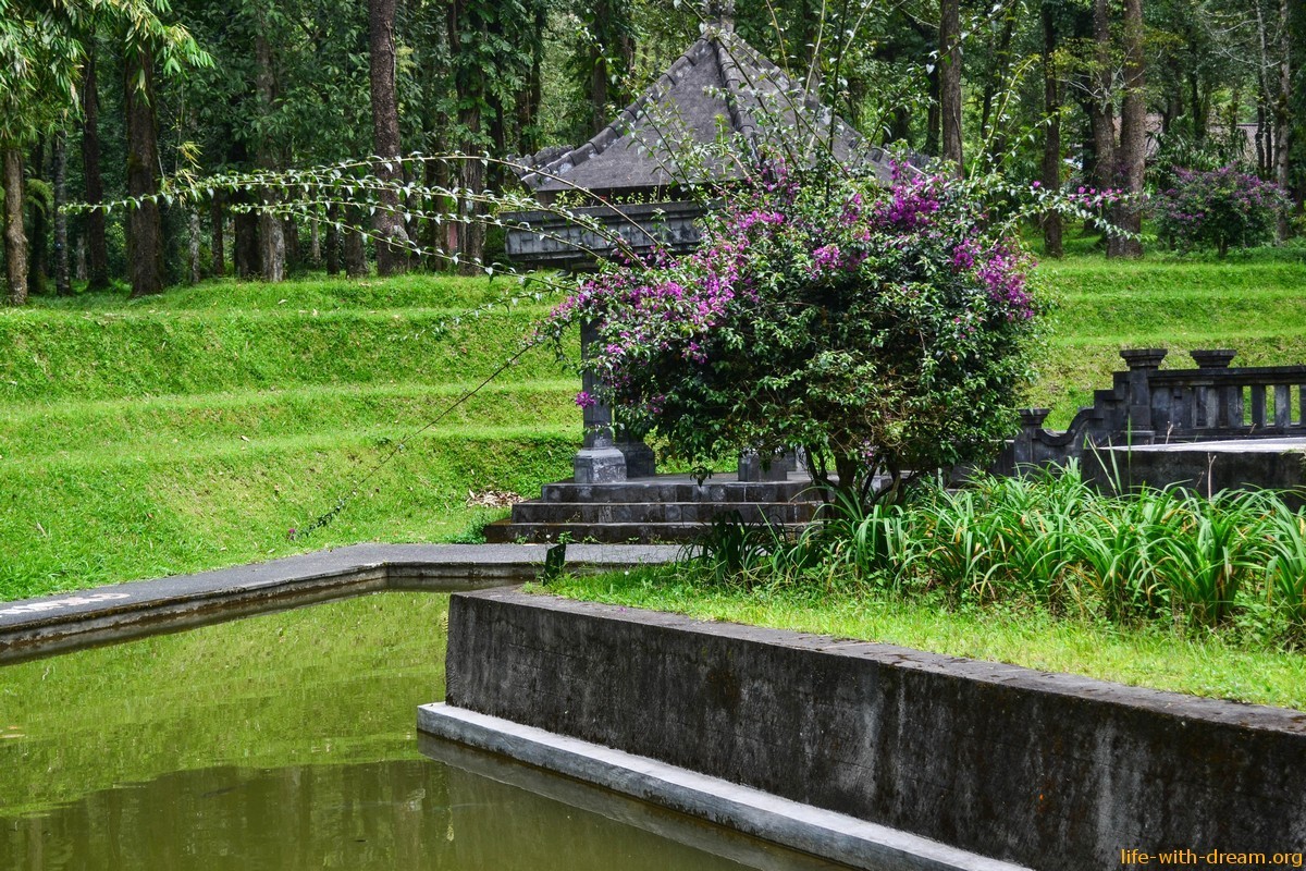 Ботанический сад в Бедугуле - волшебный лес, где живут эльфы и гномы.
