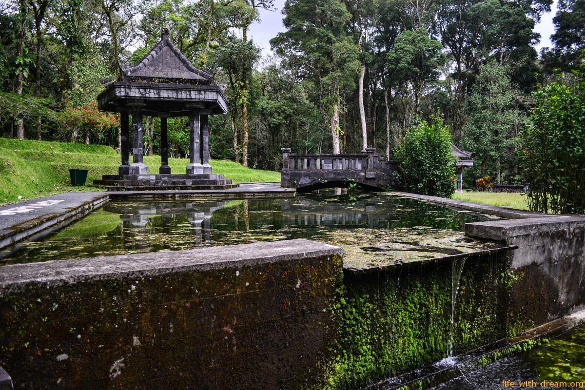Ботанический сад в Бедугуле - волшебный лес, где живут эльфы и гномы.