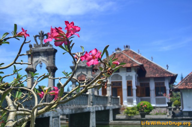Достопримечательности Бали фото
