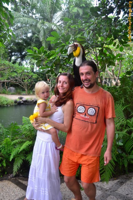 Парк птиц на Бали. Свободу попугаям!