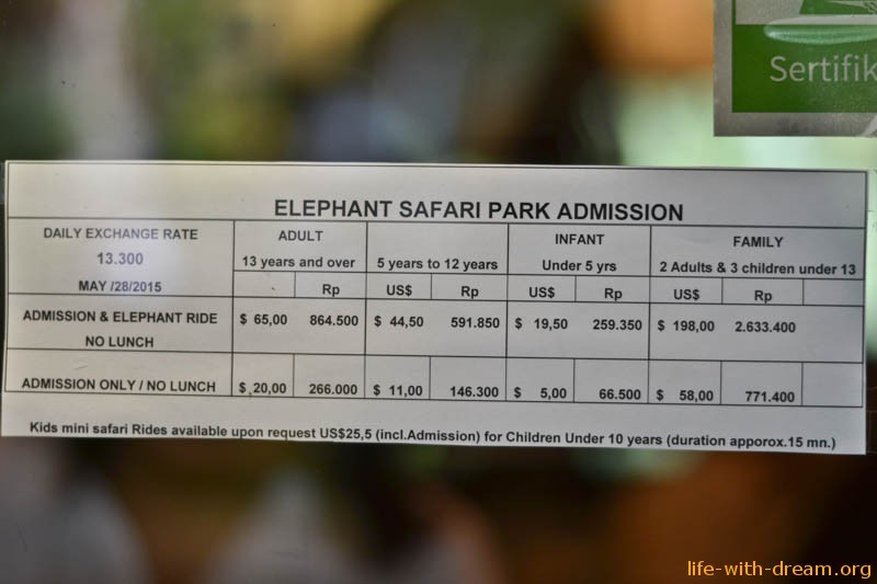 elephant-safari-park-3653