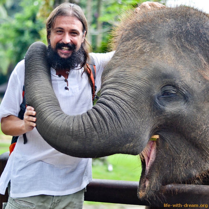 слоны на Бали