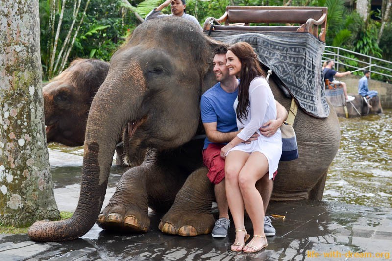 elephant-safari-park-3896