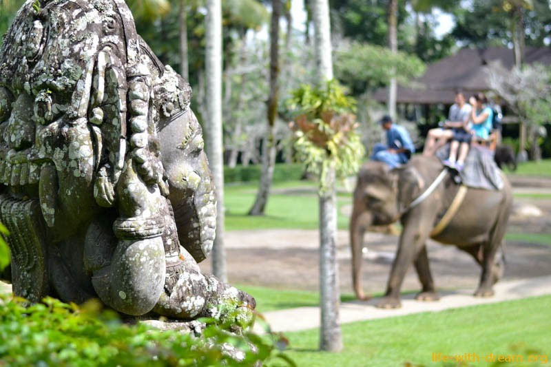 Как улыбаются слоны на Бали