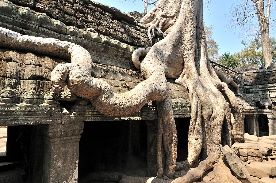 Ангкор Ват. Камбоджа