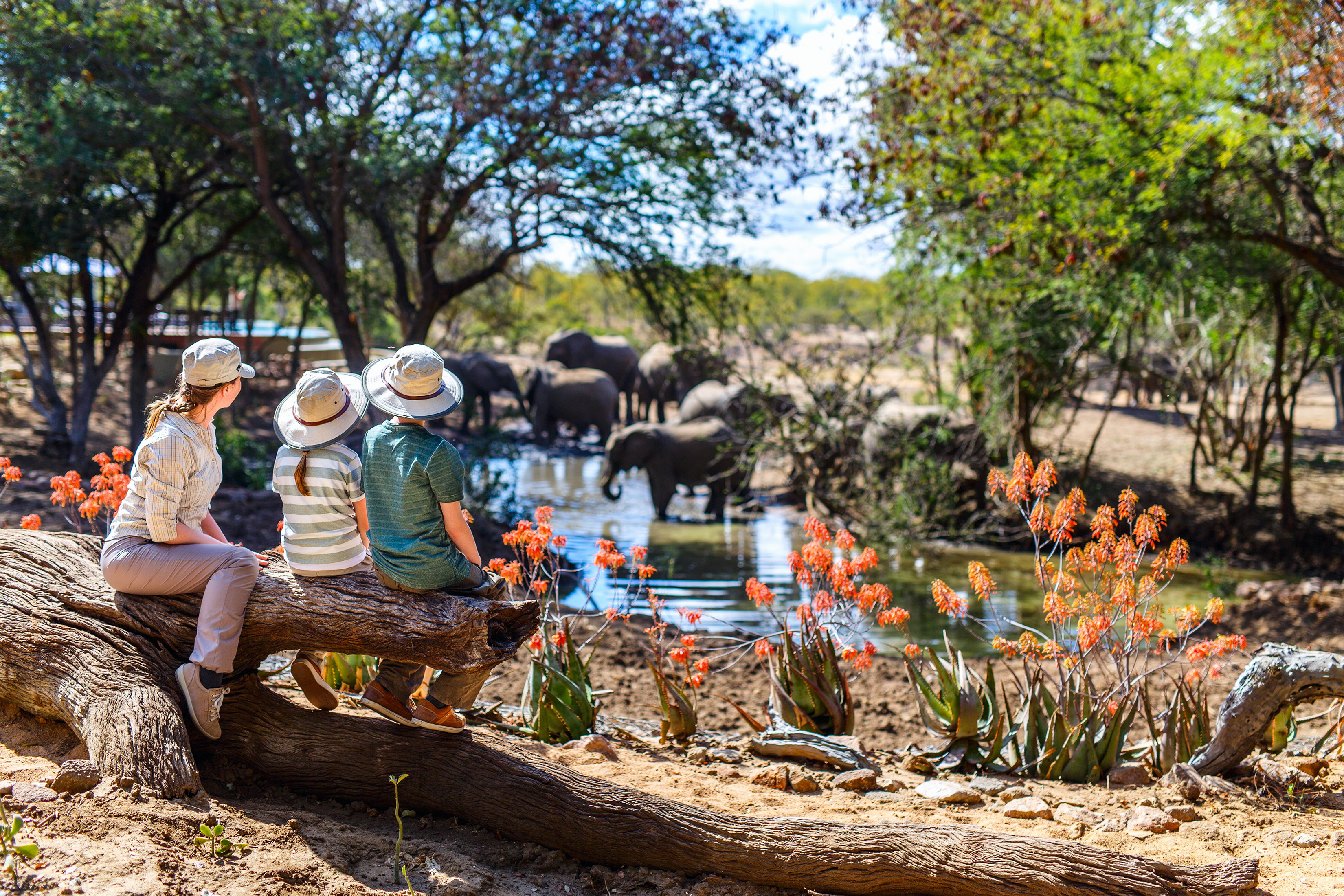 Dubai Safari Park — огромный сафари-парк в Дубае