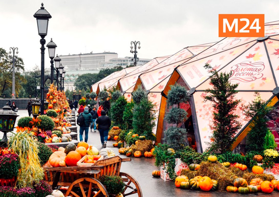 Куда сходить осенью. Московские сезоны Арбат. Московские сезоны павильон Арбат. Осень ярмарка Москва. Ярмарка в Москве осенью.