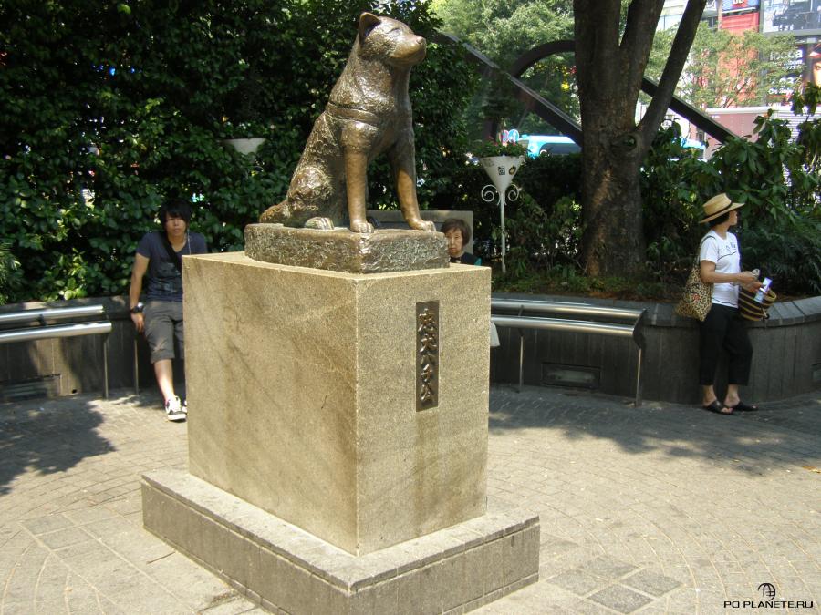 У станции Сибуя стоит бронзовый памятник собачке Хатико