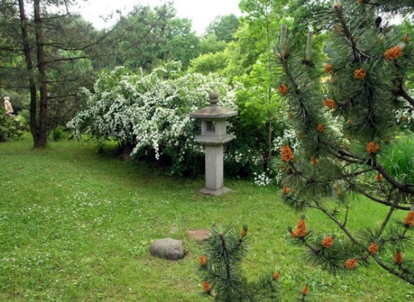 Японский сад - место, которое стоит посетить