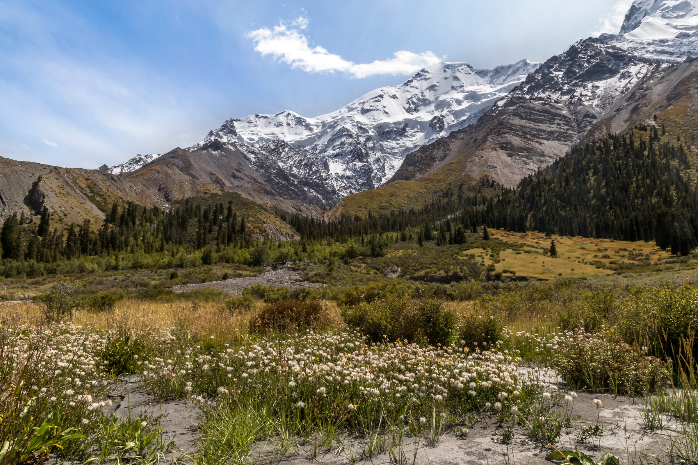 Горы в казахстане название и фото и расположение
