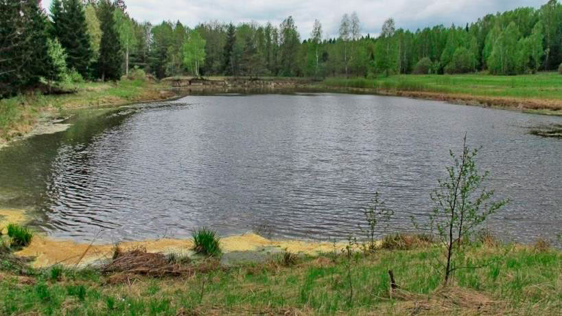 Рыбалка на пруду Васюнино