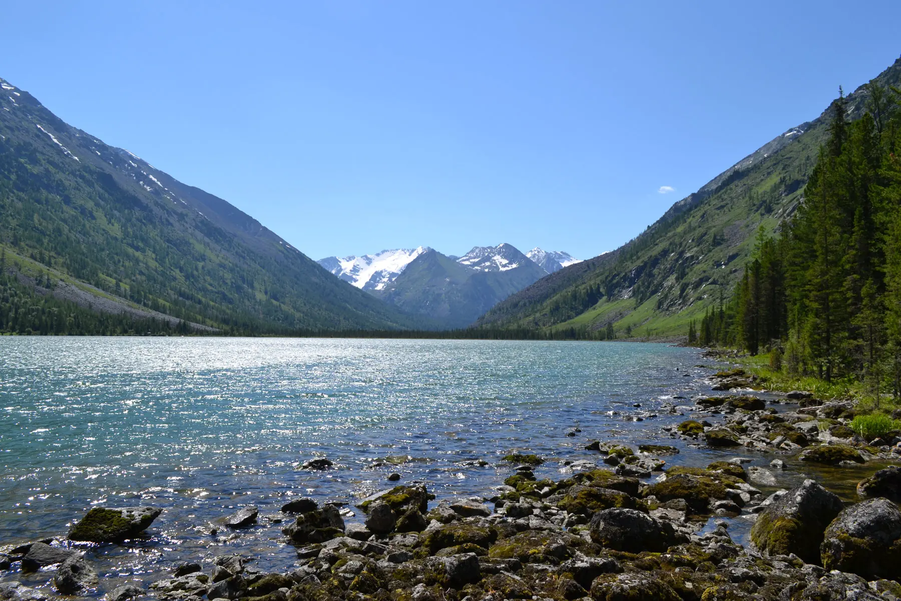 4 озера на алтае. Мультинские озёра Республика Алтай. Озеро нижнее Мультинское горный Алтай. Горный кемпинг Мультинские озера. Мультинские озера медведь.