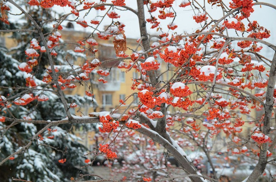 Остаемся зимовать: идеи для путешествий на Новый год и не только Фото: Ксения ТИМОФЕЕВА